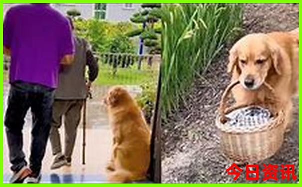 去西藏旅游攻略路线